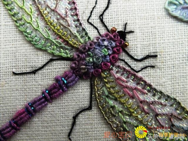 װ�δ��廹��������������һ��Ư���ļҾӴ���װ��Ʒ��̫�����ˣ�