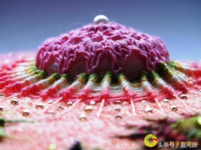 װ�δ��廹��������������һ��Ư���ļҾӴ���װ��Ʒ��̫�����ˣ�