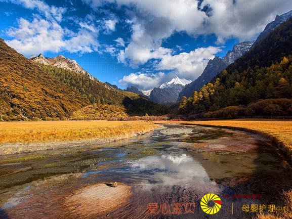 �＾����������ι��ԣ����ɴ�����ת������죡