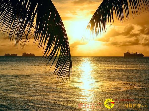 �＾����������ι��ԣ����ɴ�����ת������죡