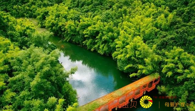 �������С��й����ʺ����С��ĳ��У�����ȴ����û�˻�ȥ����