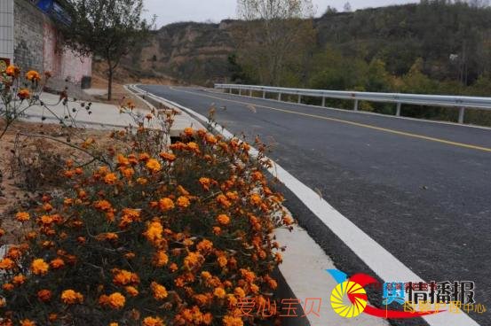 ��ɽ����������·���ư�������