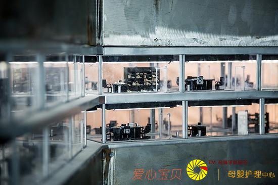 2018���ʿ�ý�������� �ع����������