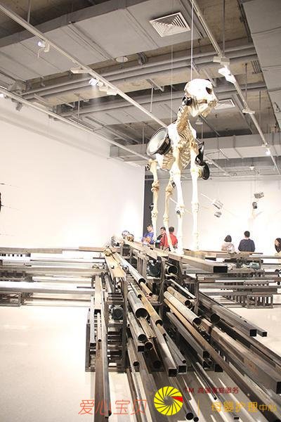 2018���ʿ�ý�������� �ع����������