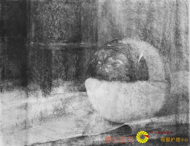 �й�������vs�պ�������������Ȼ��ô����