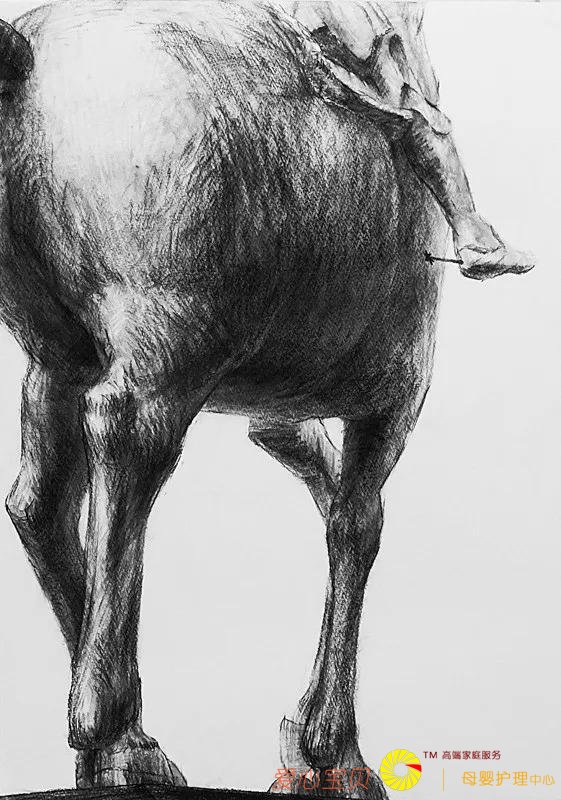 �й�������vs�պ�������������Ȼ��ô����