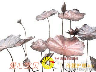 家政保姆培训:金属家具的清洁