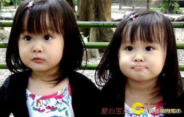 ��ͬ��ͬĸͬ�����������ǣ����һλ����û��֪��������˫��̥