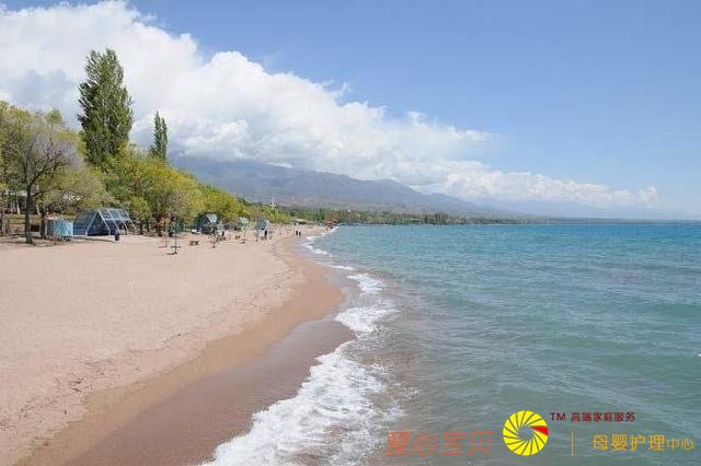 2019ʮ��������й��Ұ�