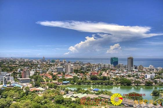 2019ʮ��������й��Ұ�