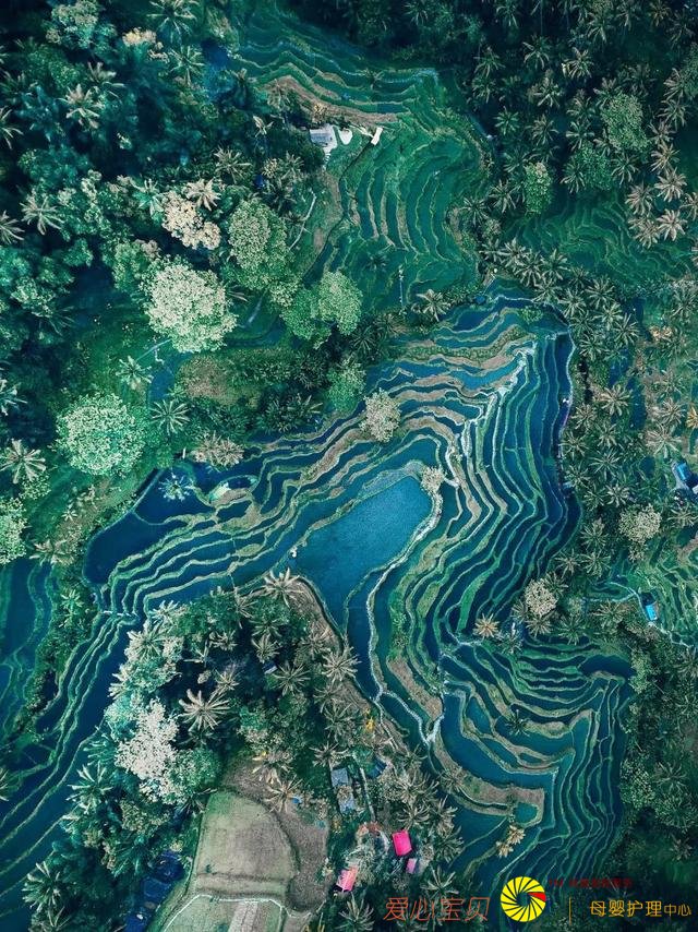 2019ʮ��������й��Ұ�