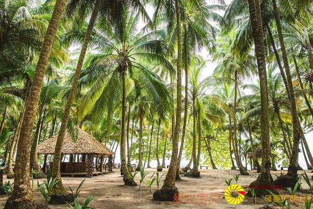 2019ʮ��������й��Ұ�