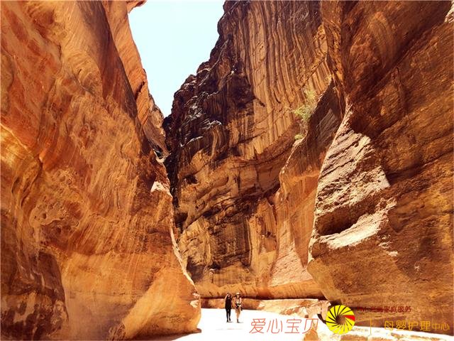 2019ʮ��������й��Ұ�