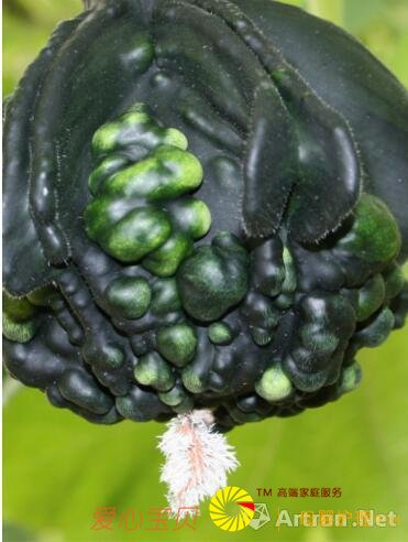 ���������������+����=��