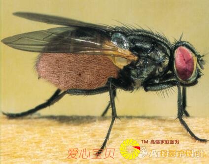 ���������������+����=��