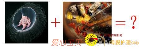 ���������������+����=��