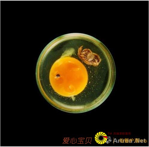 ���������������+����=��