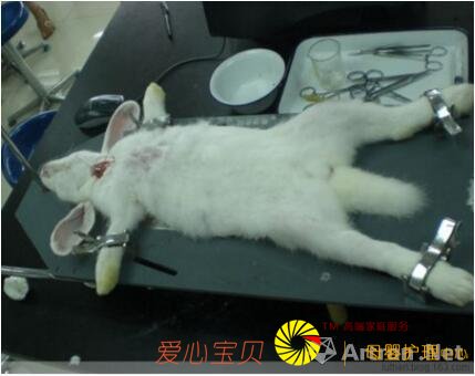 ���������������+����=��