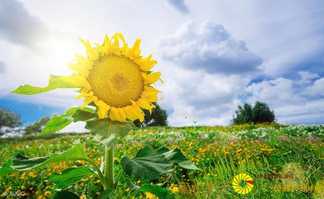 ְ�����ԣ�����ϰ������������ô�죿