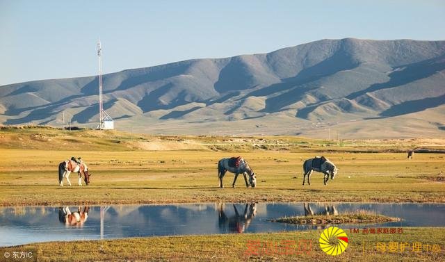 ְ�����ԣ�����ϰ������������ô�죿