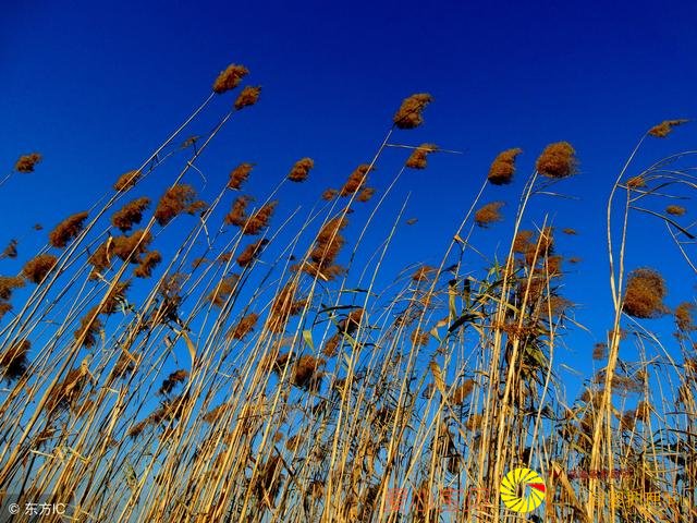 ְ�����ԣ�����ϰ������������ô�죿