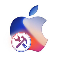 ƻ���ֻ��ֻ�ά��