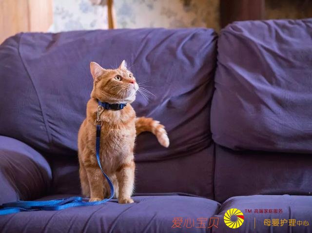 ����Ƭ�ưԱ���Ʊ����ͯ���ȳ����ֱ�ף�ȴҲʤ���˹�װ��Ƭ