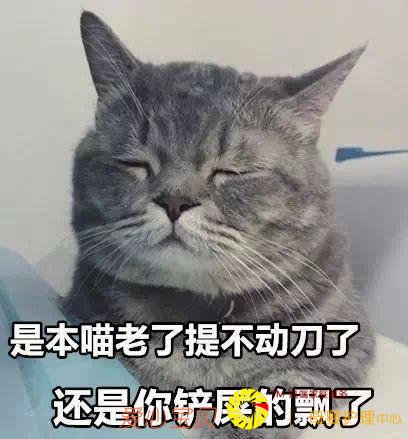 ����ҽԺ�Ƽ�è����������ʵĿ�ģ�ѧϰ�ˣ�