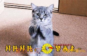 ����ҽԺ�Ƽ�è����������ʵĿ�ģ�ѧϰ�ˣ�