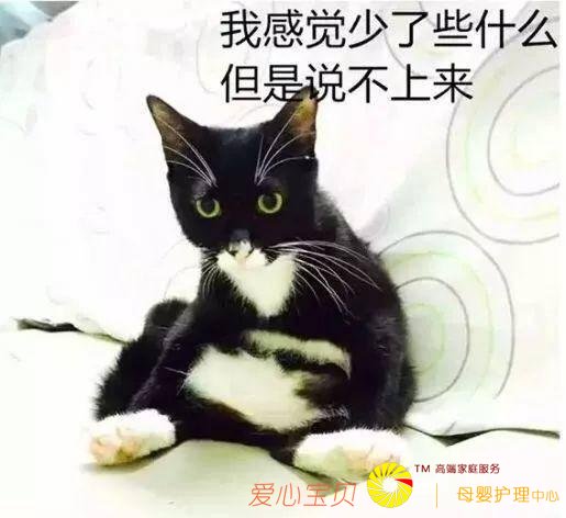 ����ҽԺ�Ƽ�è����������ʵĿ�ģ�ѧϰ�ˣ�