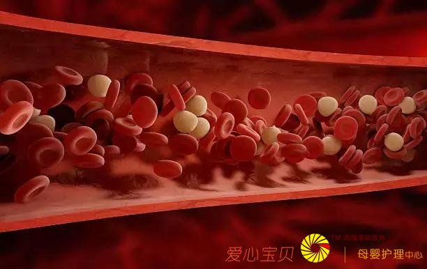 ˫���ǽ��������������������ĸ�֢״��˵�������������