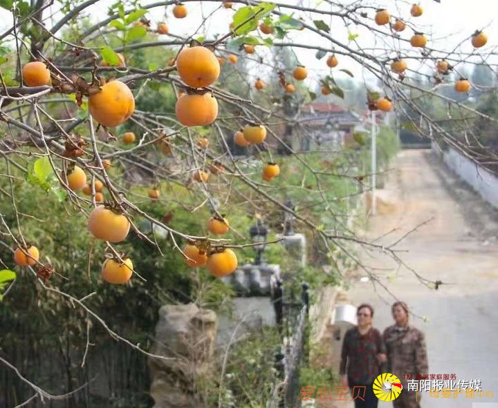 ��Ӱ���߾�ͷ��������������������Ϣ��