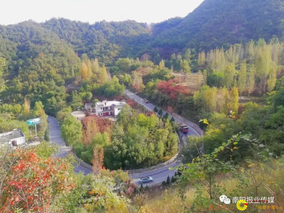 ��Ӱ���߾�ͷ��������������������Ϣ��