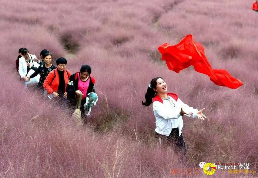 ��Ӱ���߾�ͷ��������������������Ϣ��