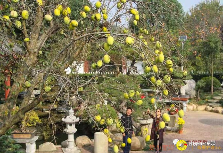 ��Ӱ���߾�ͷ��������������������Ϣ��