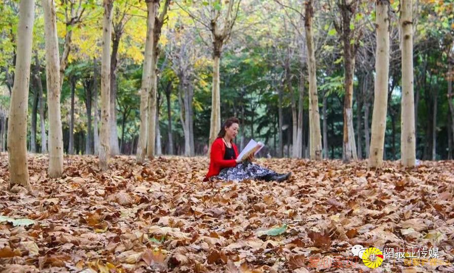 ��Ӱ���߾�ͷ��������������������Ϣ��