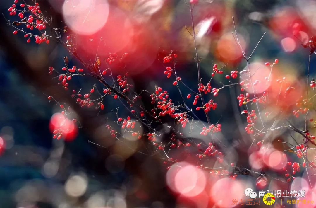 ��Ӱ���߾�ͷ��������������������Ϣ��