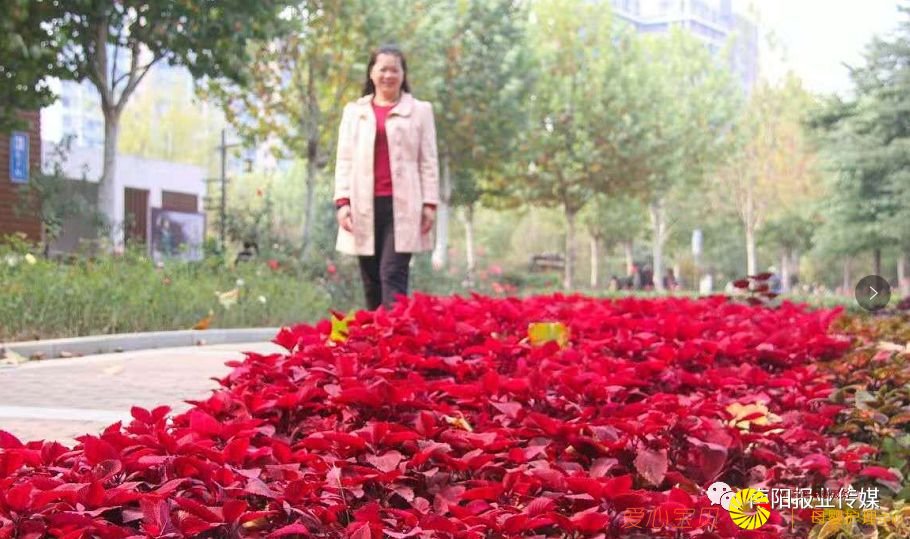 ��Ӱ���߾�ͷ��������������������Ϣ��