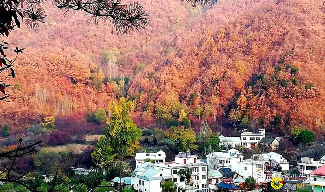 ��Ӱ���߾�ͷ��������������������Ϣ��