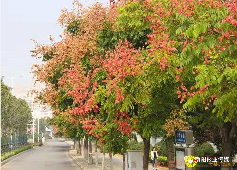 ��Ӱ���߾�ͷ��������������������Ϣ��