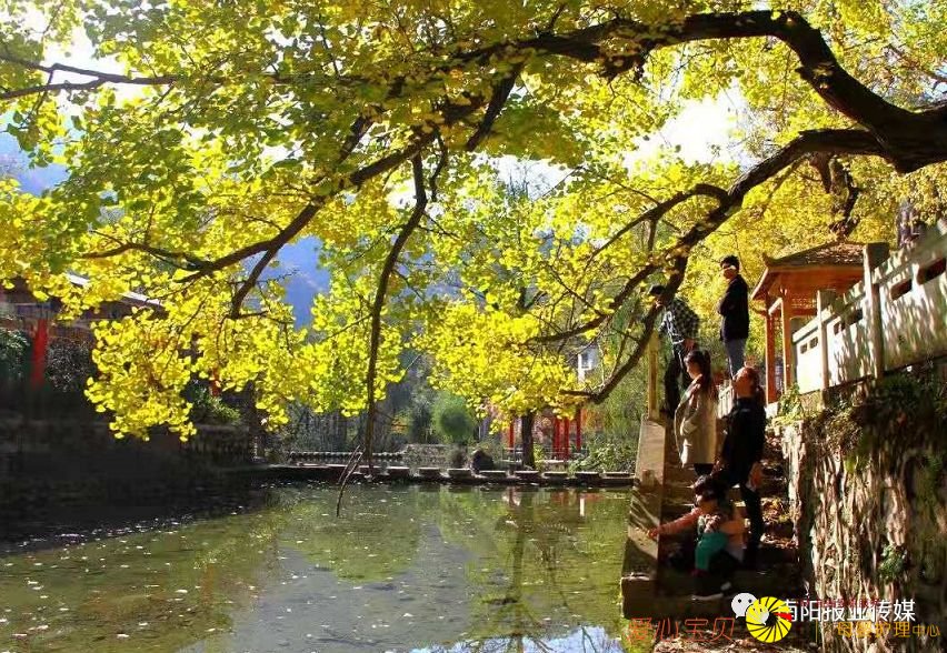 ��Ӱ���߾�ͷ��������������������Ϣ��