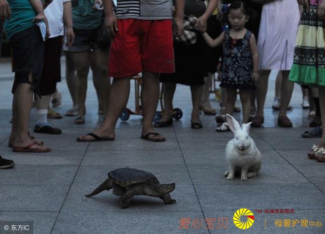 ���⾭��������˾����������ģʽһ���տ�1000+��