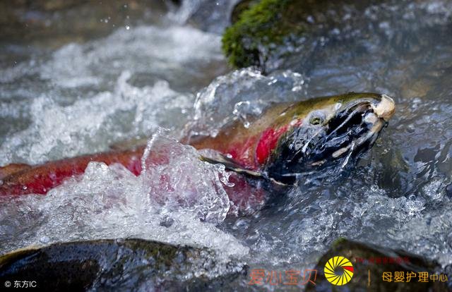 ���⾭��������˾����������ģʽһ���տ�1000+��