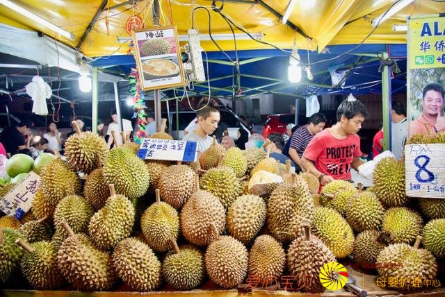 ��ɳ�Ϳ�ʼ����Ѳ�أ���ǰ֪ʶ����ȥ���㡢�س���ʳ��ȫ���ι���