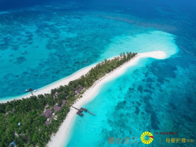 ��ɳ�Ϳ�ʼ����Ѳ�أ���ǰ֪ʶ����ȥ���㡢�س���ʳ��ȫ���ι���