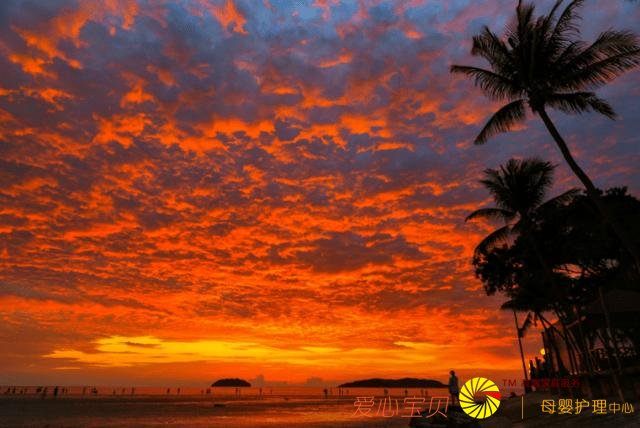 ��ɳ�Ϳ�ʼ����Ѳ�أ���ǰ֪ʶ����ȥ���㡢�س���ʳ��ȫ���ι���