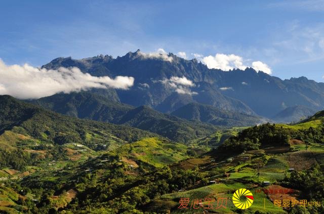 ��ɳ�Ϳ�ʼ����Ѳ�أ���ǰ֪ʶ����ȥ���㡢�س���ʳ��ȫ���ι���