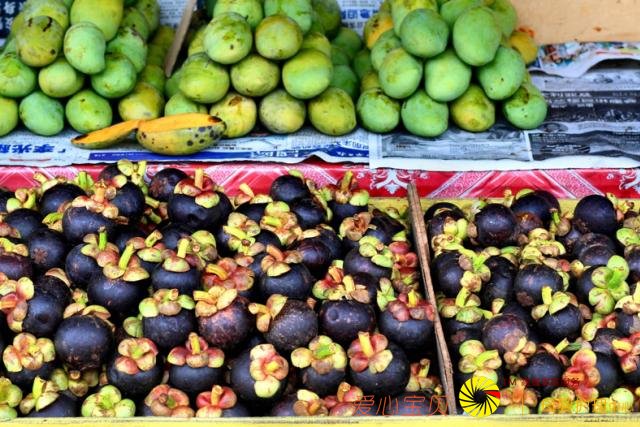 ��ɳ�Ϳ�ʼ����Ѳ�أ���ǰ֪ʶ����ȥ���㡢�س���ʳ��ȫ���ι���