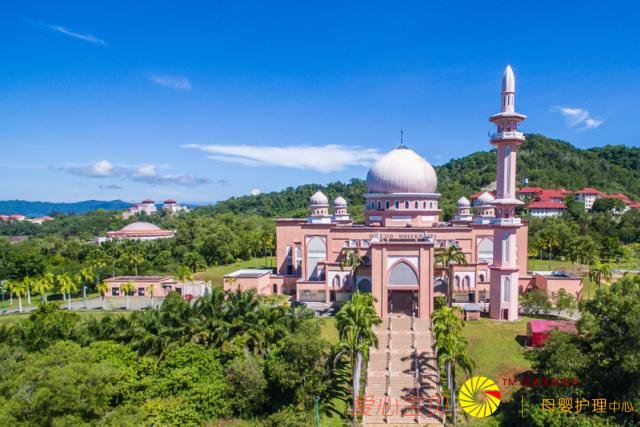 ��ɳ�Ϳ�ʼ����Ѳ�أ���ǰ֪ʶ����ȥ���㡢�س���ʳ��ȫ���ι���