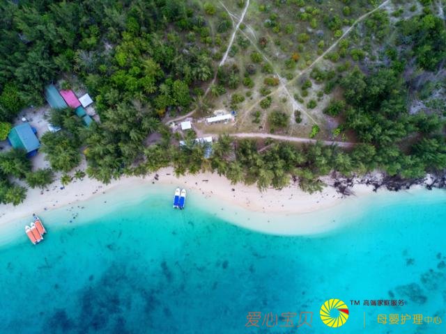 ��ɳ�Ϳ�ʼ����Ѳ�أ���ǰ֪ʶ����ȥ���㡢�س���ʳ��ȫ���ι���